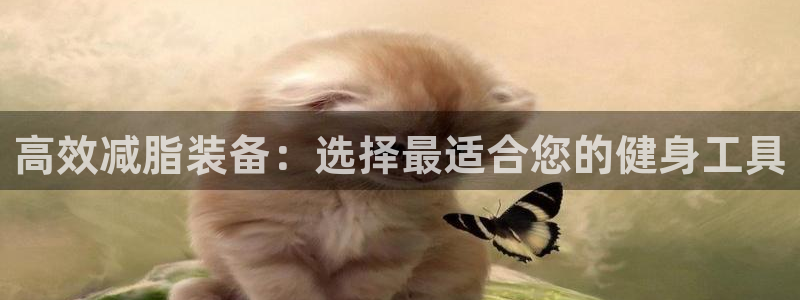 意昂4娱乐首页网站大全:高效减脂装备:选择最适合您的健身工具