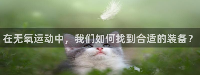 意昂体育4平台注册:在无氧运动中,我们如何找到合适的装备?