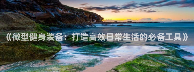 意昂4五金厂:《微型健身装备:打造高效日常生活的必备工具》