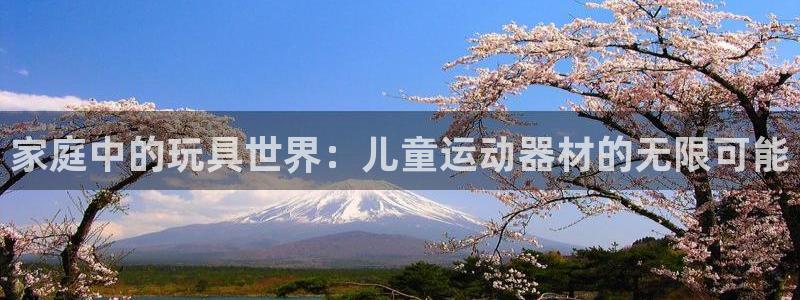 意昂4集团简介:家庭中的玩具世界:儿童运动器材的无限可能