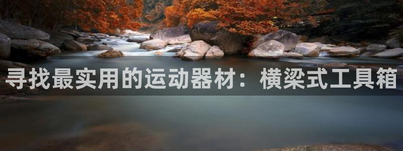 意昂体育4平台注册:寻找最实用的运动器材:横梁式工具箱